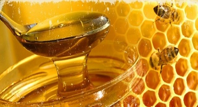 Pillole di immunonutrizione#2: il miele e la propoli